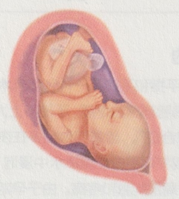 孕7月胎儿和准妈妈的变化有哪些(图1)