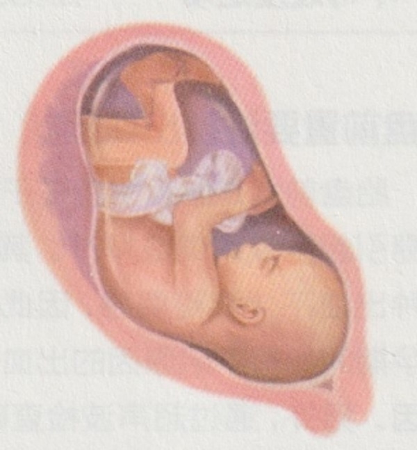 孕7月胎儿和准妈妈的变化有哪些(图3)