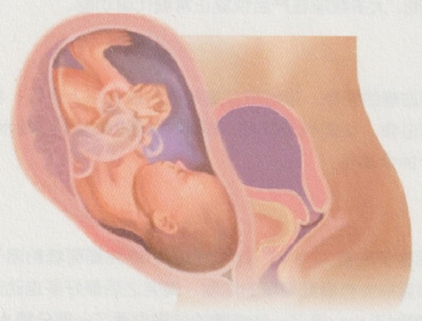 孕7月胎儿和准妈妈的变化有哪些(图4)