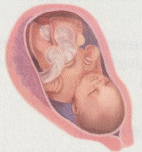 怀孕九个月胎宝宝和准妈妈会有什么变化(图1)