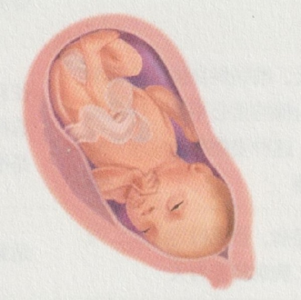 怀孕九个月胎宝宝和准妈妈会有什么变化(图2)
