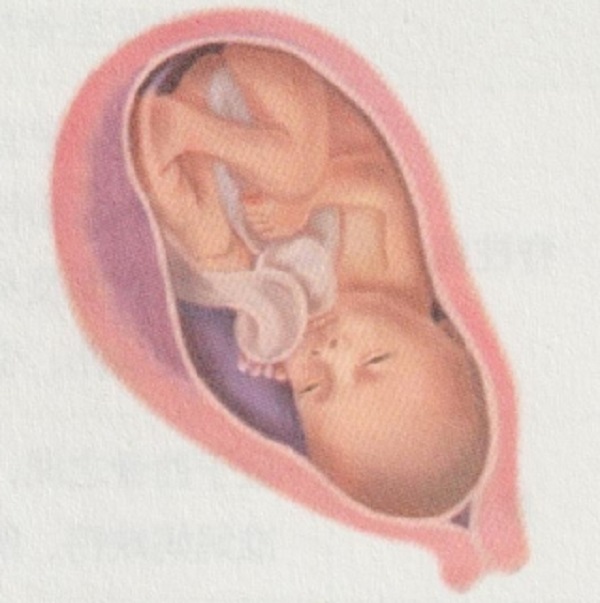 怀孕九个月胎宝宝和准妈妈会有什么变化(图3)