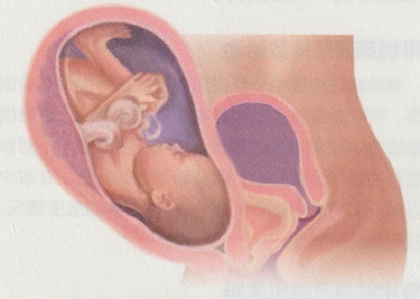 怀孕九个月胎宝宝和准妈妈会有什么变化(图4)