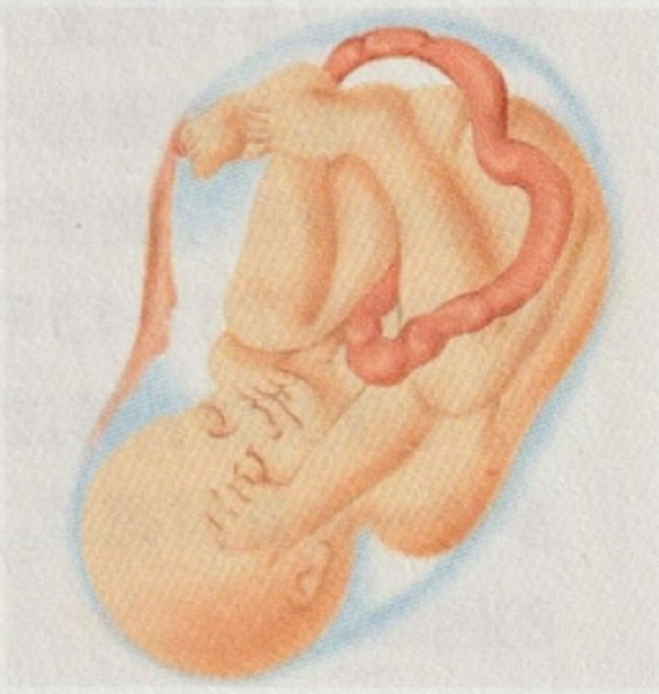 孕九月产检什么(图1)