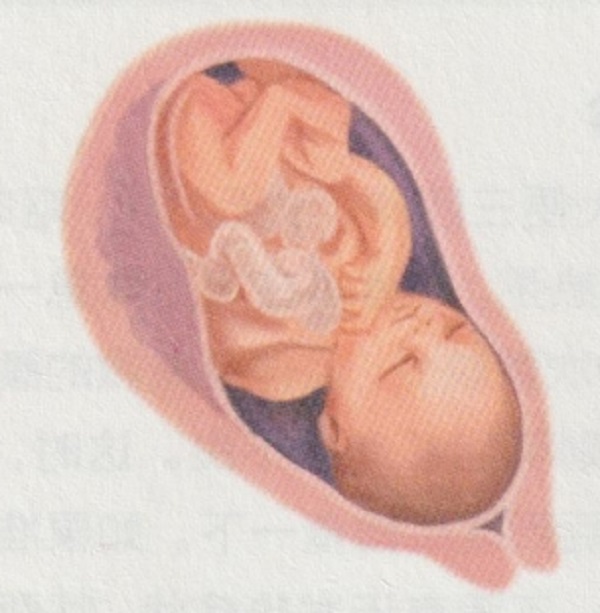 怀孕十个月胎宝宝和准妈妈的变化是怎样的呢？(图1)