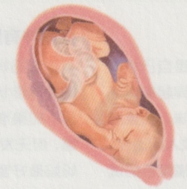 怀孕十个月胎宝宝和准妈妈的变化是怎样的呢？(图2)