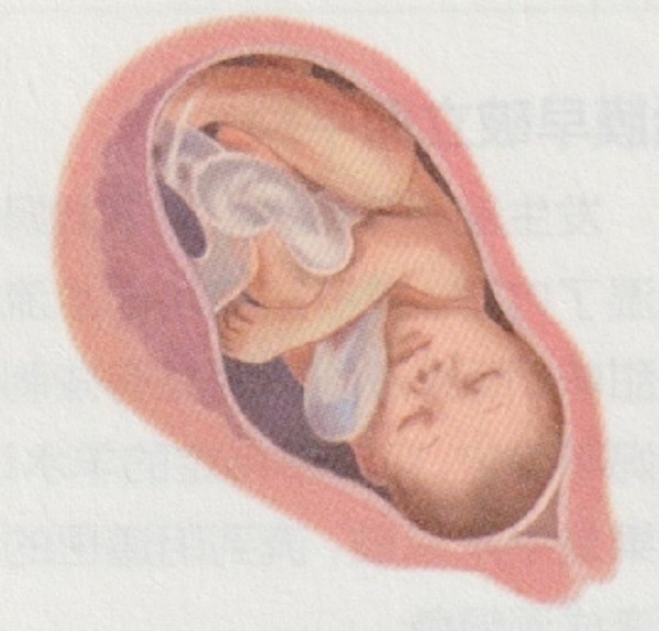 怀孕十个月胎宝宝和准妈妈的变化是怎样的呢？(图3)