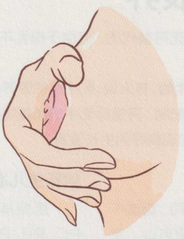 母乳怎么喂养正确（3）(图3)